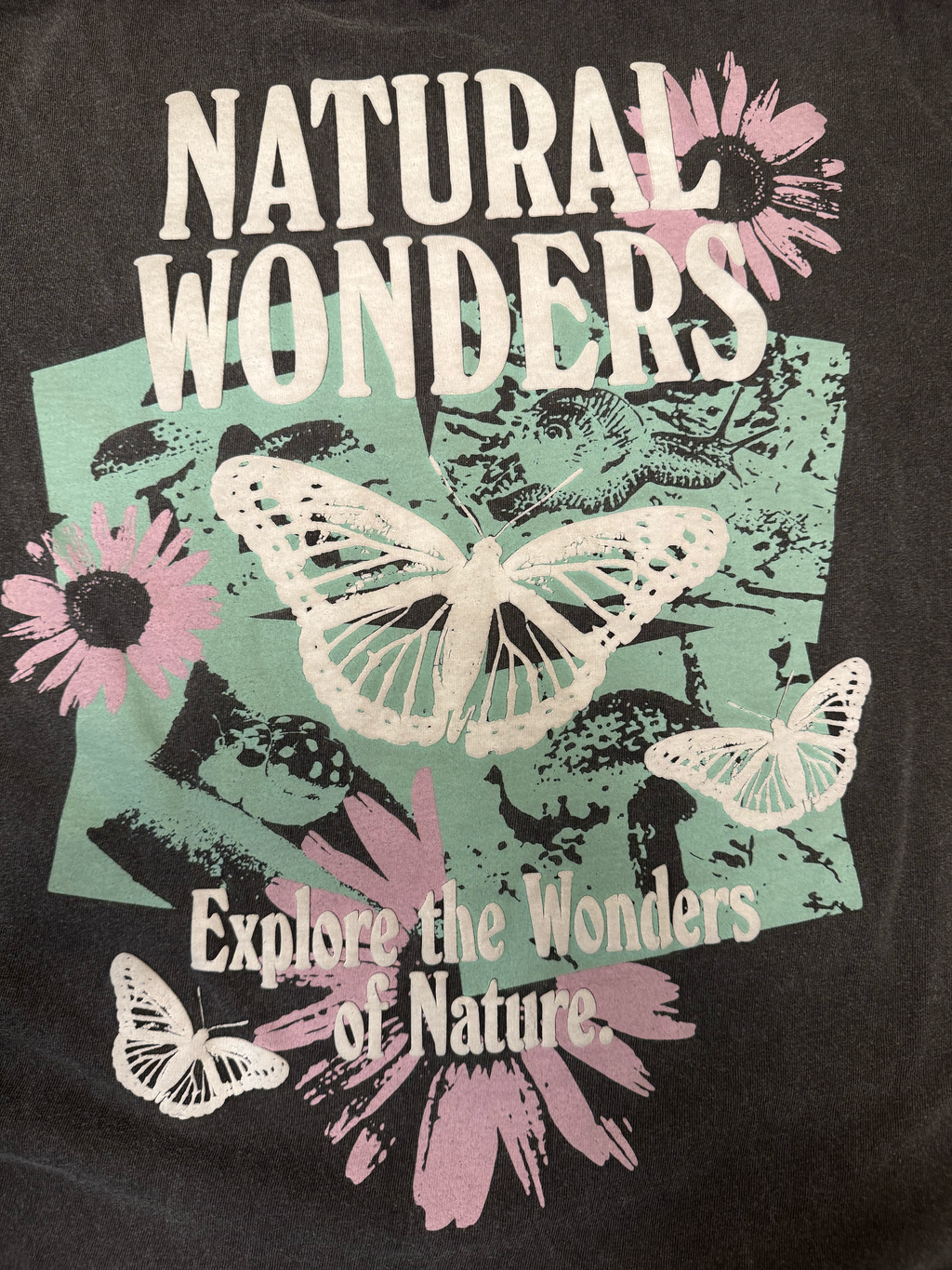 PACSUN "Natural Wonders" Graphic T-Shirt - The Urban Hanger