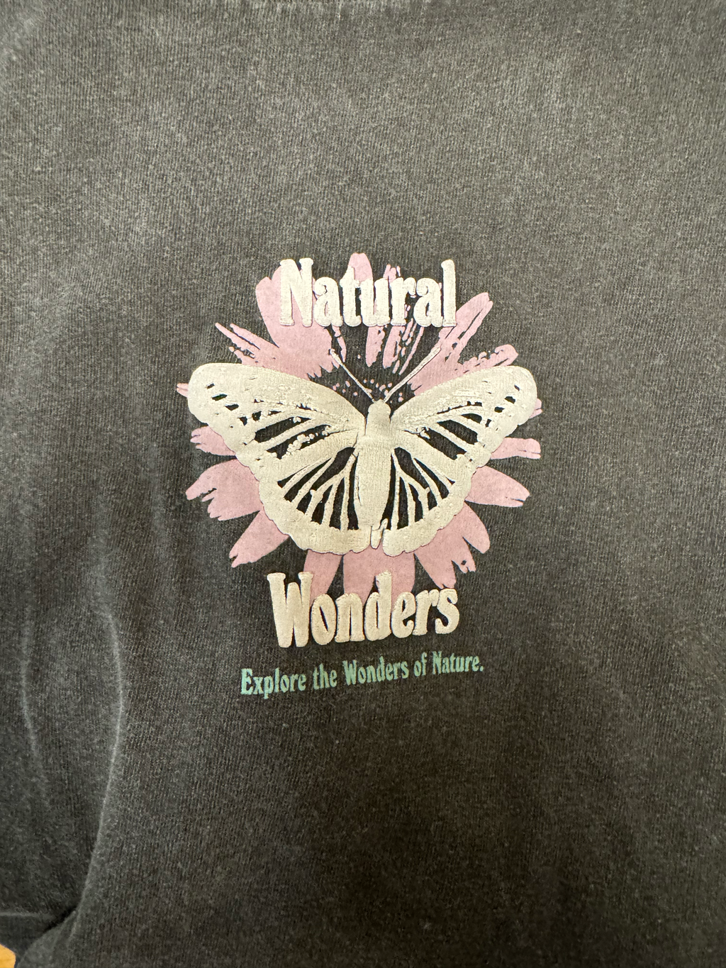 PACSUN "Natural Wonders" Graphic T-Shirt - The Urban Hanger